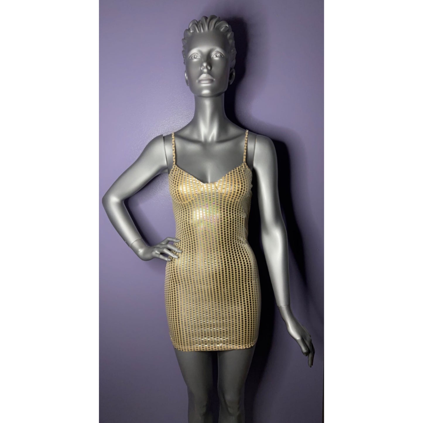 Gold and Silver Sleeveless Dress