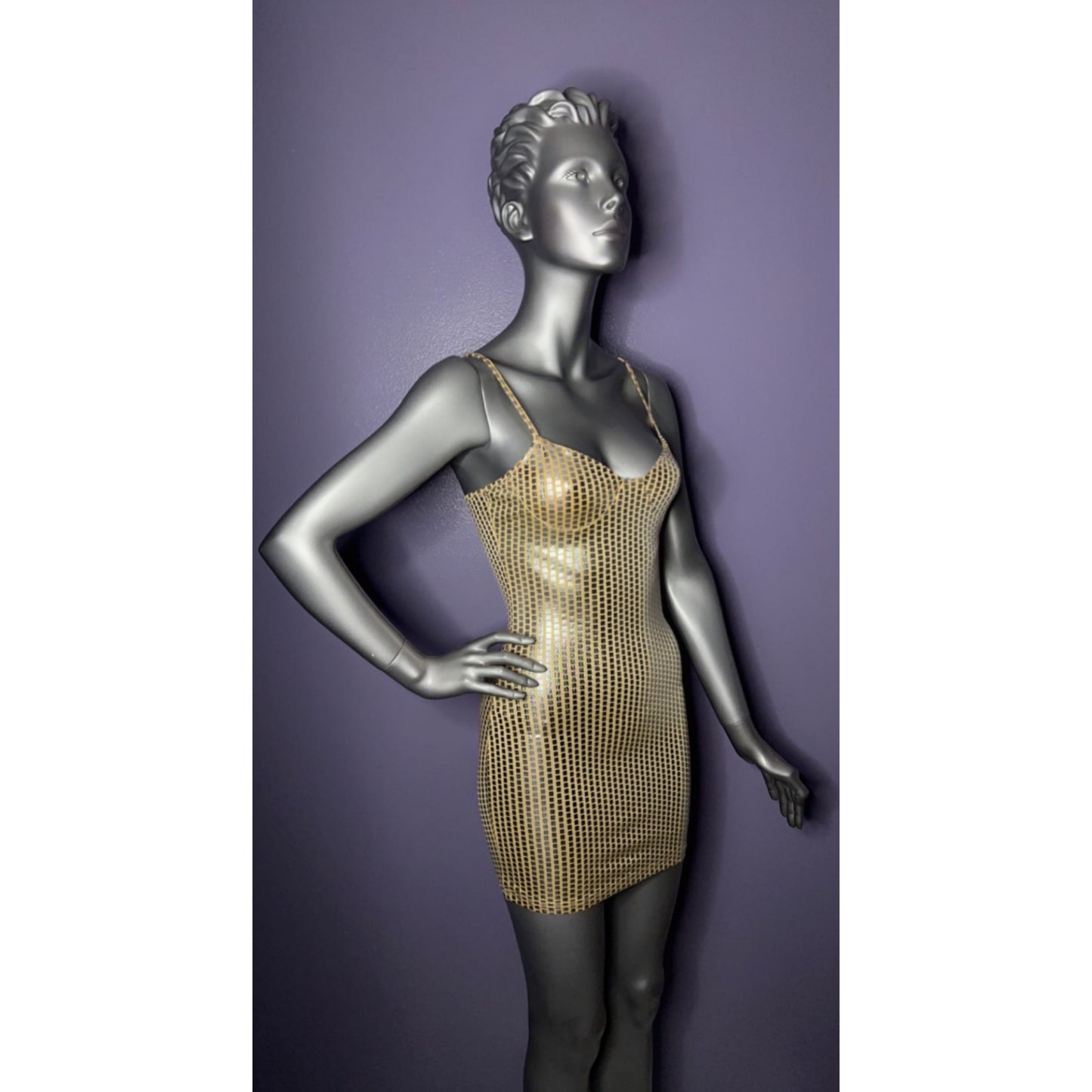 Gold and Silver Sleeveless Dress